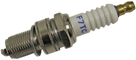 Best reviews of ๐ BMI LD F7TC Spark Plug For Honda GX160 & GX200 Engine โญ