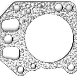 Best reviews of 🎁 BMI Briggs Animal Head Gasket 👍