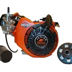 Cheap 💯 BMI Briggs Animal Junior 206 Racing Engine 🤩