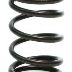 Best Pirce 👍 BMI 22lb Valve Spring For 196cc Clone & 212cc Predator Engine 🎁